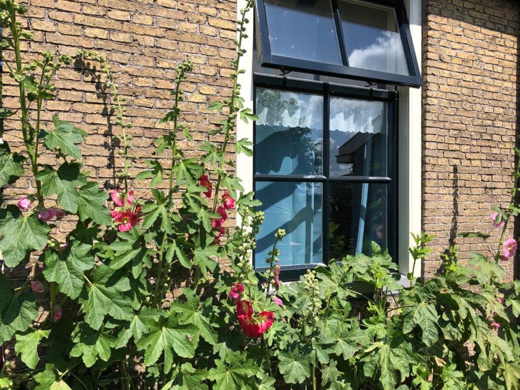 Vakantiehuis In Friesland Voor De Hele Familie Huns Екстер'єр фото